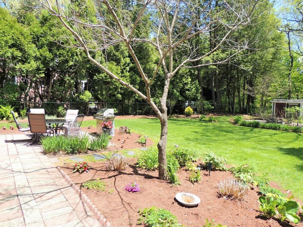 1321 Plumtree Road Springfield, MA 01119 - Photo 9 of 36 a view of a backyard with table and chairs potted plants and large tree