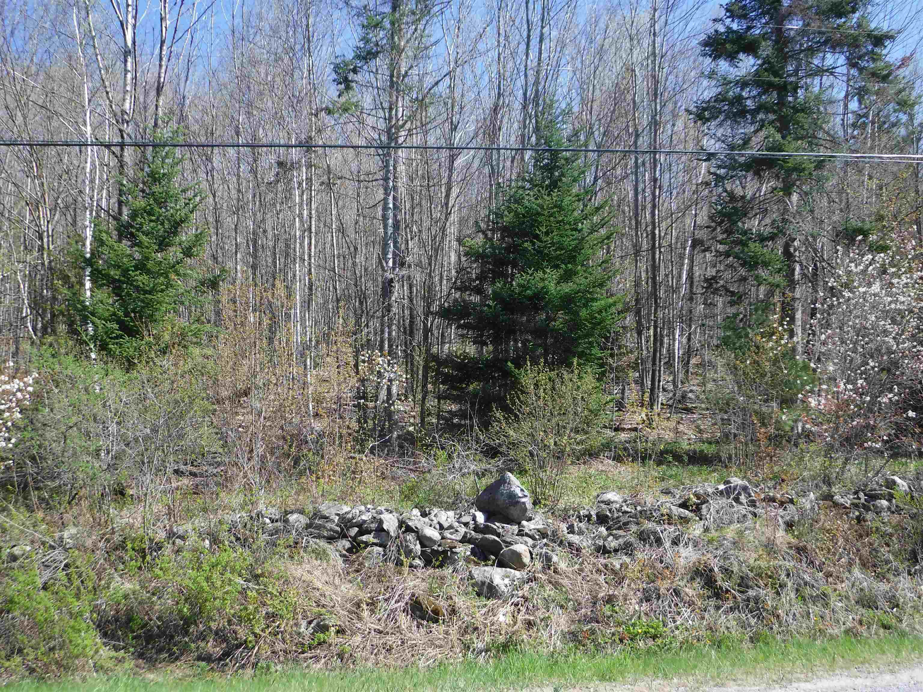 8450 Cold River Road Shrewsbury, VT 05738 - Photo 6 of 8