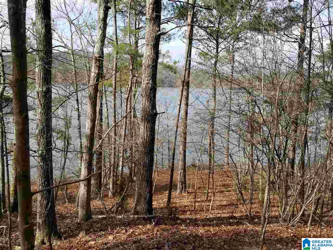 Mohawk Cliff Road Ohatchee, AL 36271 - Photo 2 of 6
