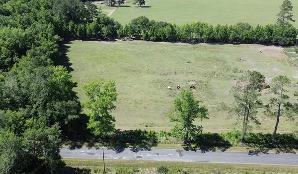 $55,000 | 0 Mt Carmel Road, Walterboro, SC 29488