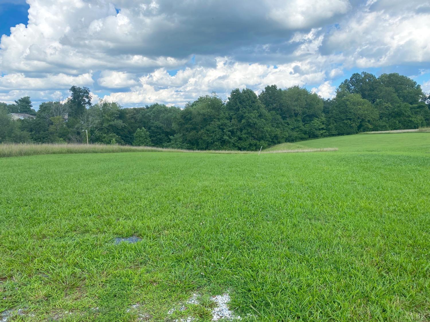 -lot 31 Ned Brown Road Amherst, VA 24521 - Photo 1 of 8 Gallery Image 1