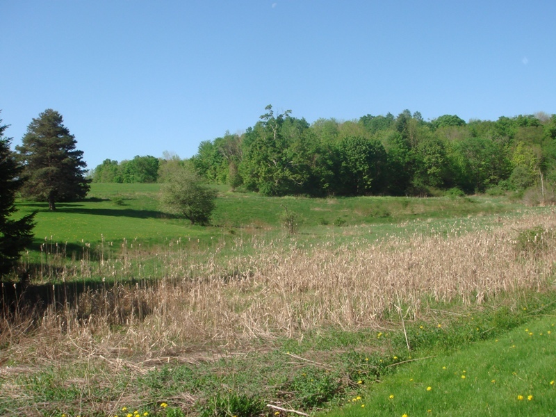 337 Luce Road Williamstown, MA 01267 - Photo 8 of 9 Yard
