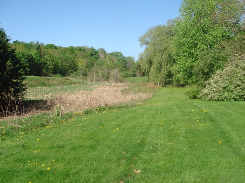 337 Luce Road Williamstown, MA 01267 - Photo 9 of 9 Yard