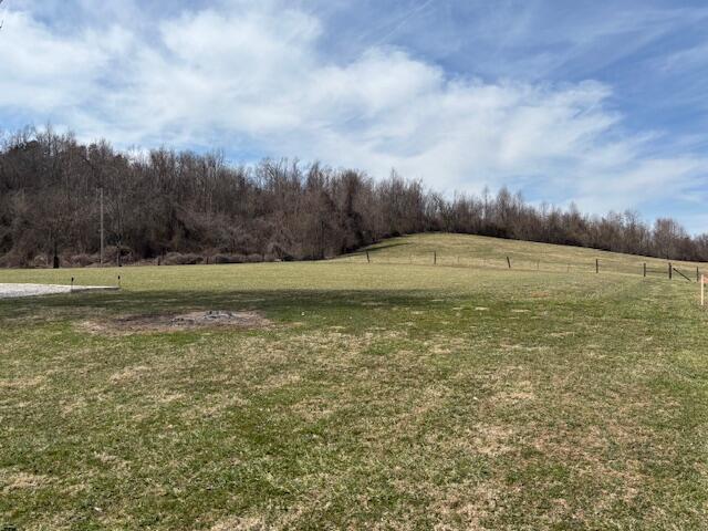3931 Scaffold Cane Road Mount Vernon, KY 40456 - Photo 38 of 56 IMG_2300