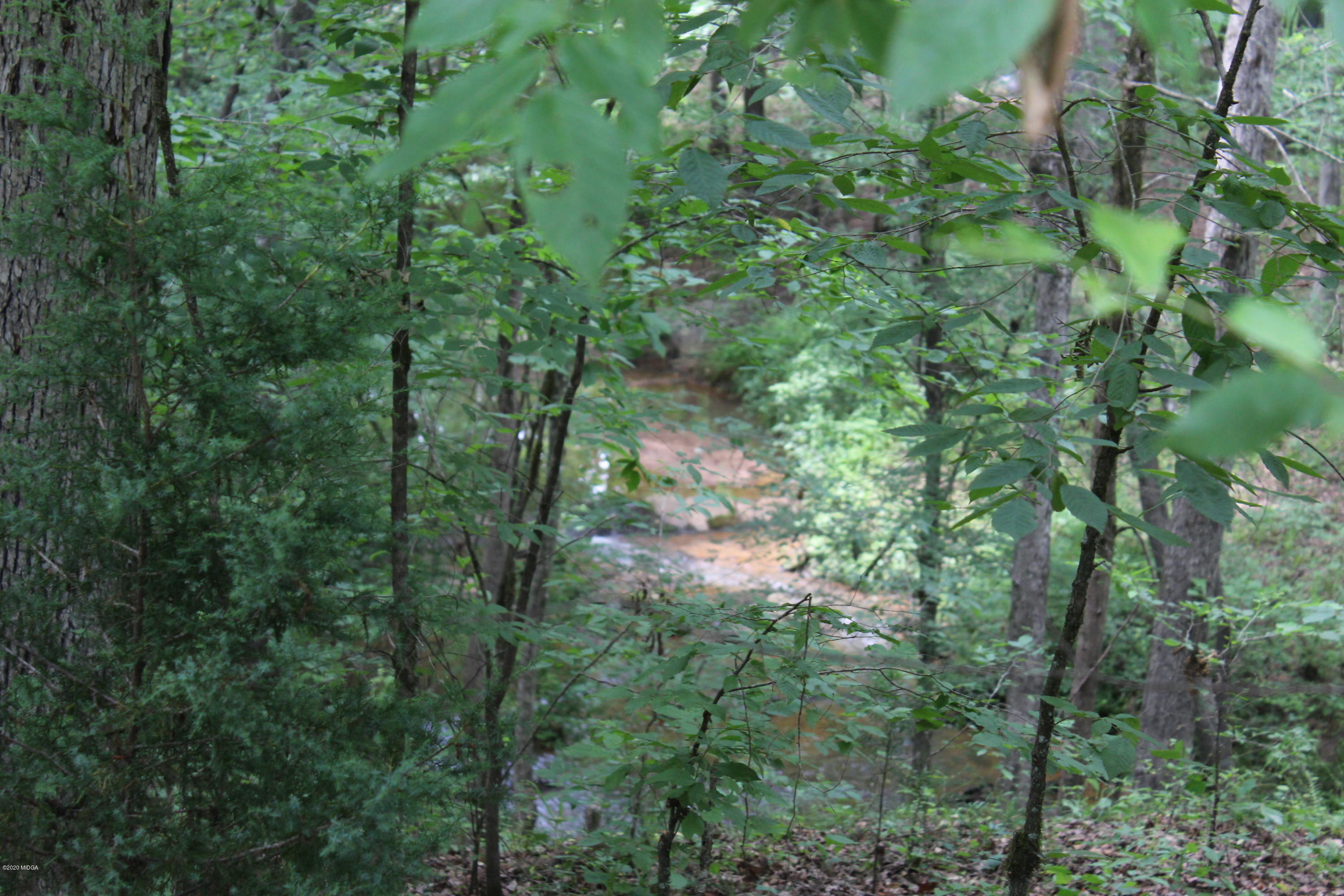 30 Chambless Road Forsyth, GA 31029 - Photo 25 of 27 a view of a lush green forest