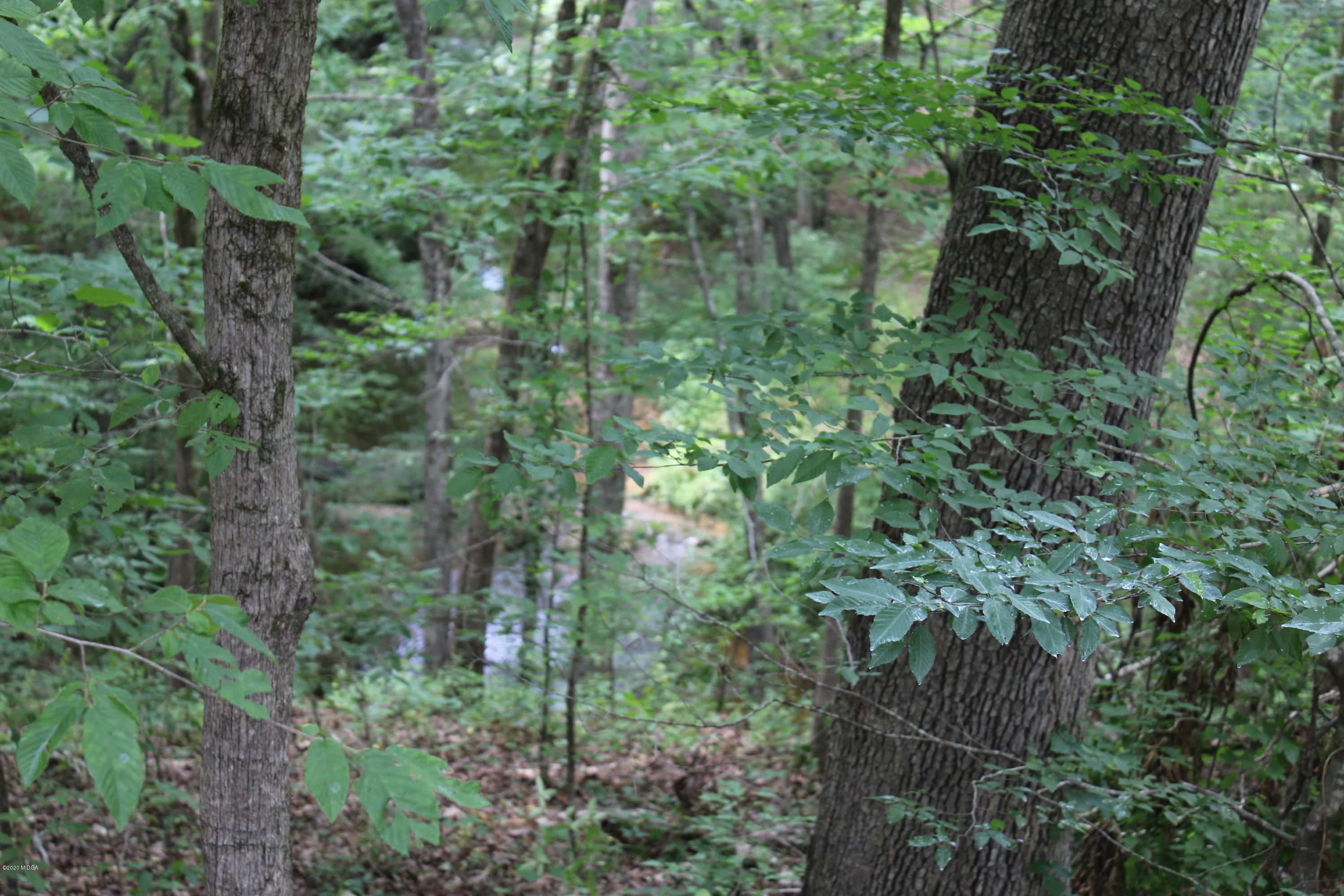 30 Chambless Road Forsyth, GA 31029 - Photo 26 of 27 a view of a forest