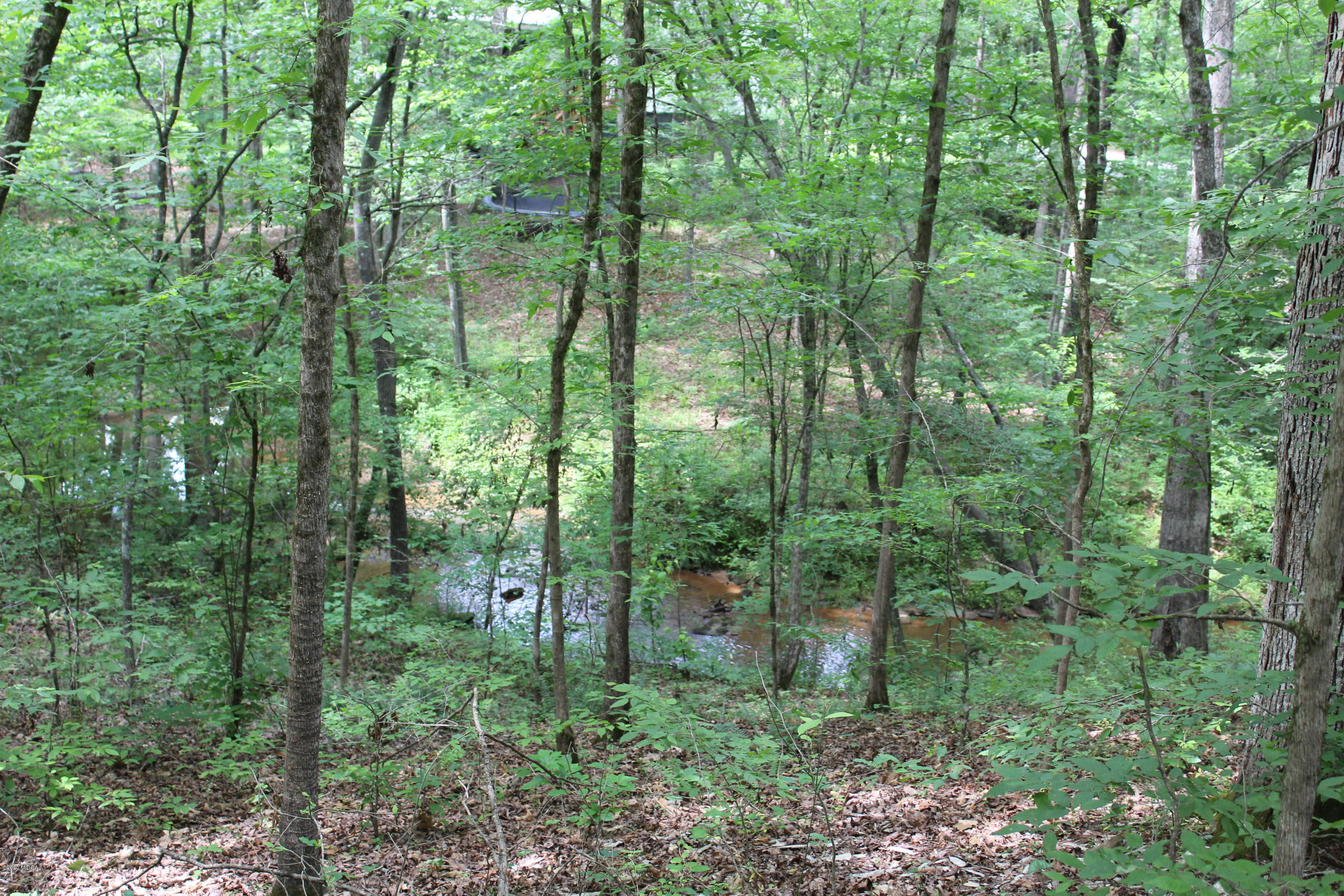 30 Chambless Road Forsyth, GA 31029 - Photo 27 of 27 a view of a forest filled with trees and trees