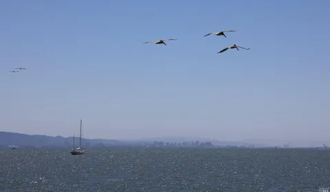 $5,877,000 | 79 St Thomas Way, Tiburon, CA 94920