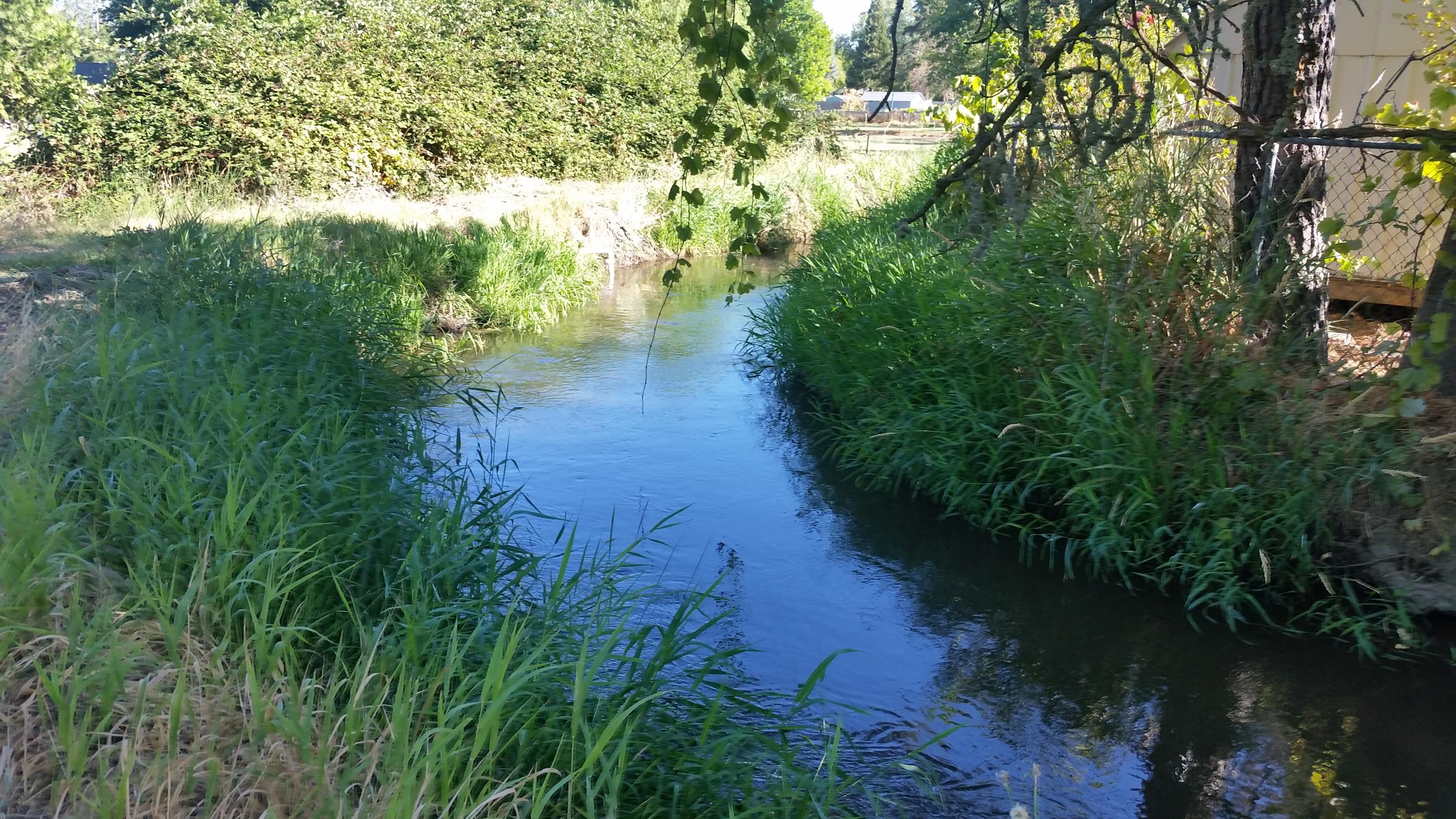 3372 Freeland Road Central Point, OR 97502 - Photo 15 of 37 Irrigation Ditch