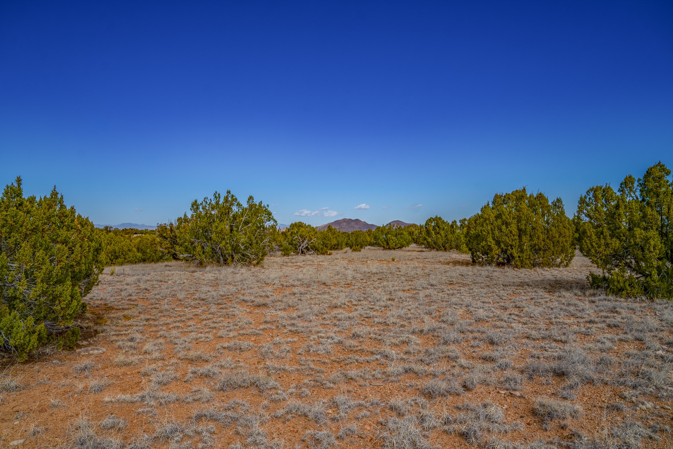 65 Grenfell Ranch Road Cerrillos, NM 87010 - Photo 17 of 46