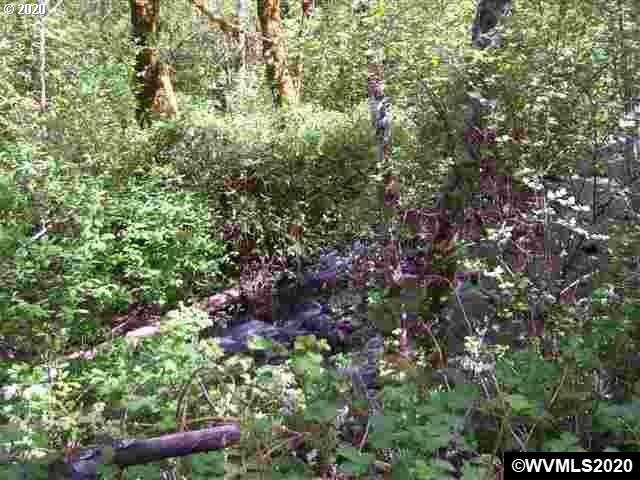 17660 Brown Road Dallas, OR 97338 - Photo 2 of 3