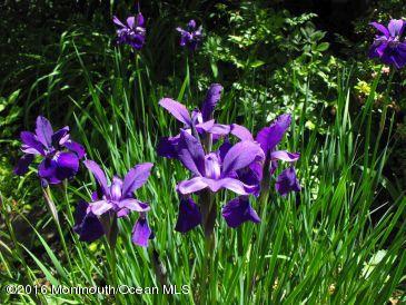 6 Belvidere Road Atlantic Highlands, NJ 07716 - Photo 54 of 55 Botanical gardens!