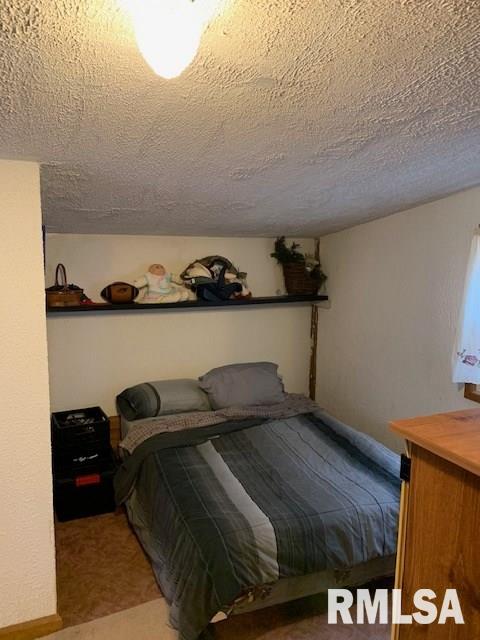 3980 Cone Flower Road Pinckneyville, IL 62274 - Photo 19 of 29