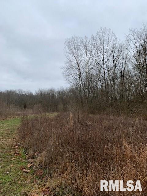 3980 Cone Flower Road Pinckneyville, IL 62274 - Photo 26 of 29