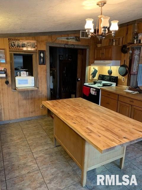 3980 Cone Flower Road Pinckneyville, IL 62274 - Photo 6 of 29