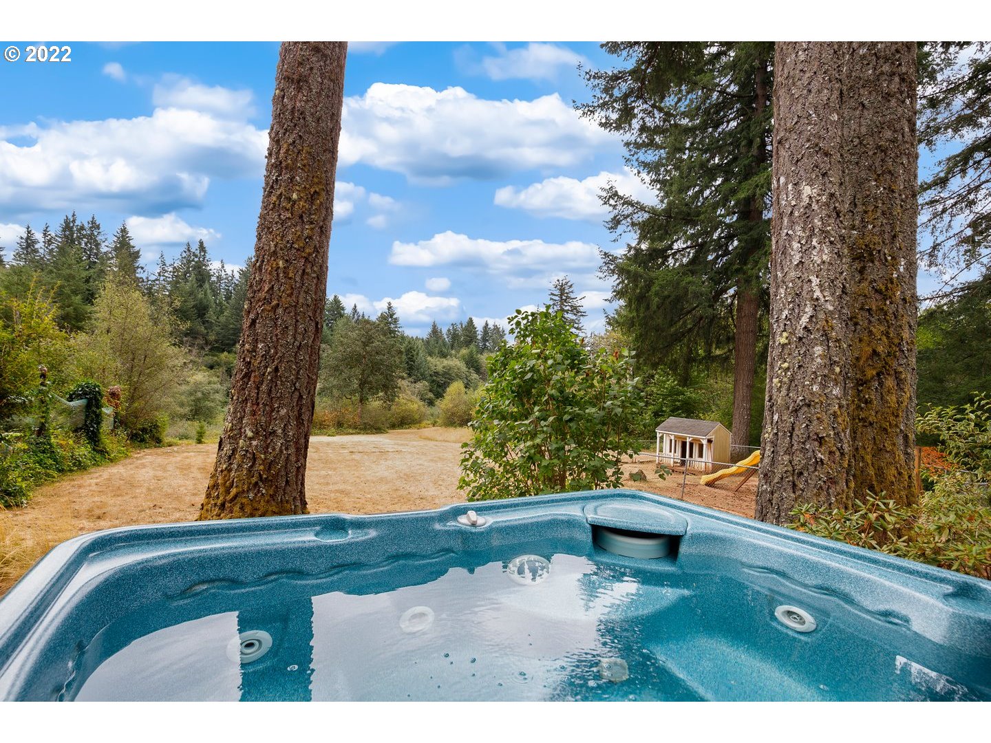 27507 Northeast 42nd Circle Camas, WA 98607 - Photo 26 of 30 a view of a yard with an outdoor space