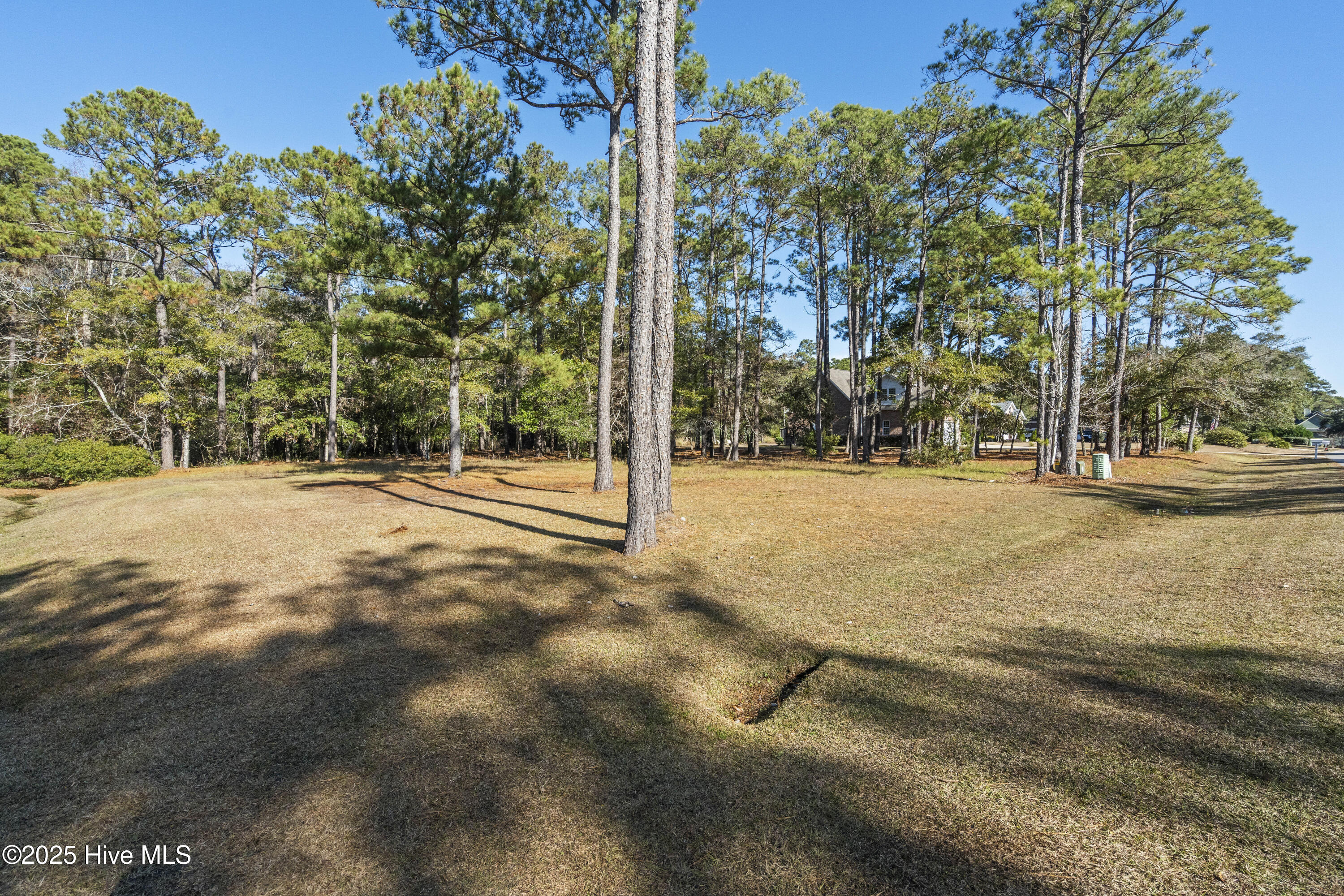 342 Genoe's Point Road Southwest Supply, NC 28462 - Photo 13 of 38 DSC01539