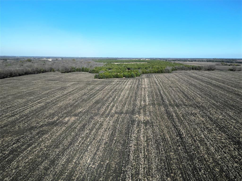 4914 Commerce Tx 75428 Ladonia, TX 75449 - Photo 5 of 19