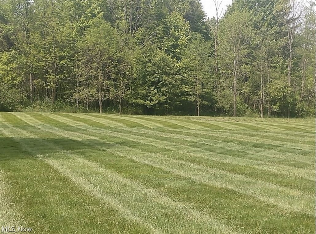 5941 Stow Road Hudson, OH 44236 - Photo 41 of 44