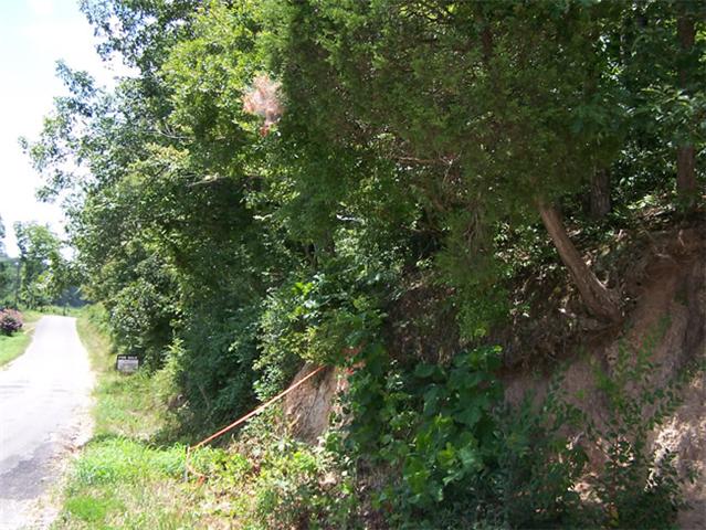 0 Stewart Branch Road Waverly, TN 37185 - Photo 1 of 2 Gallery Image 1