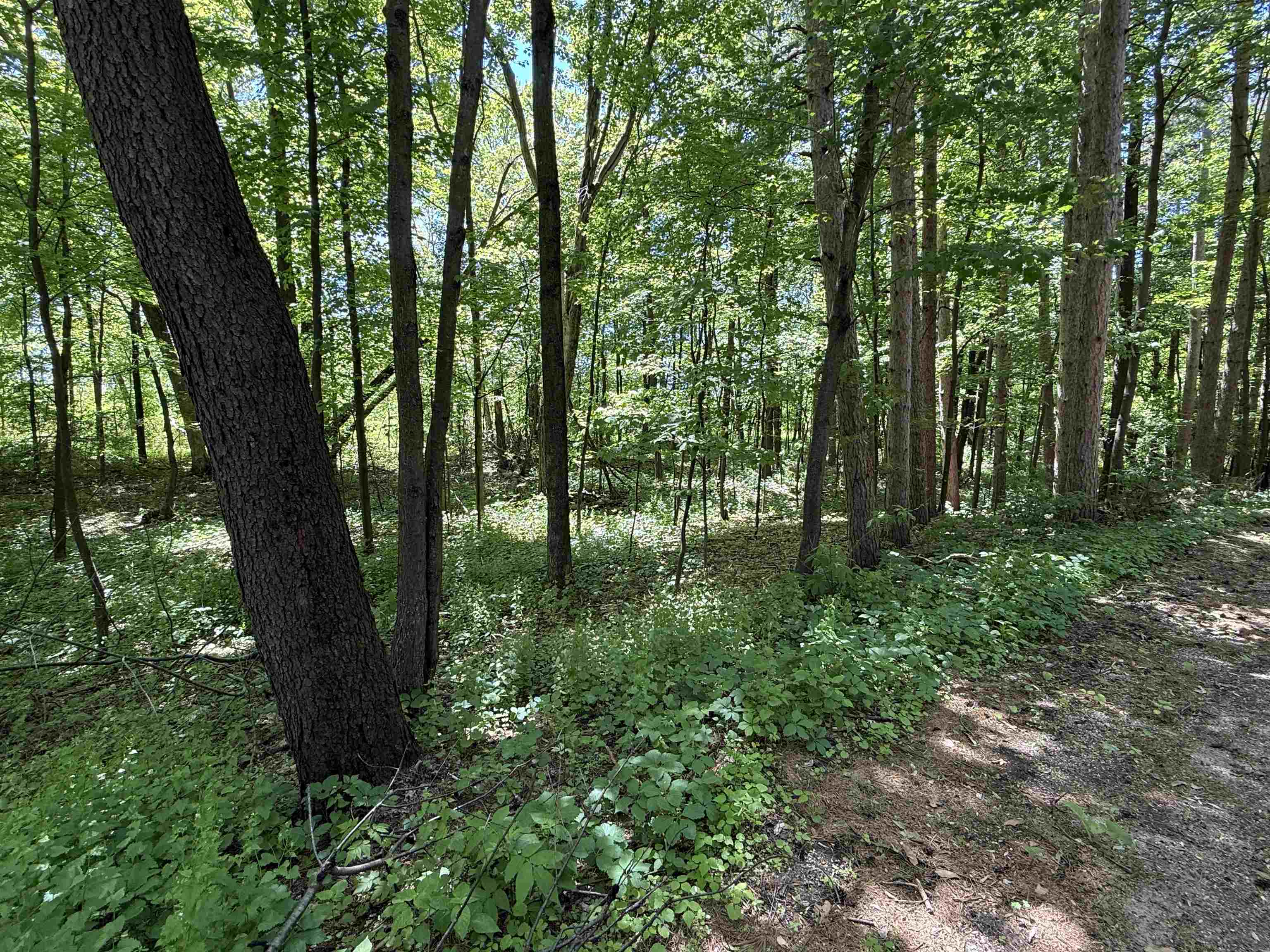 Lot 16 Arrowhead Road Amherst Junction, WI 54407 - Photo 10 of 17
