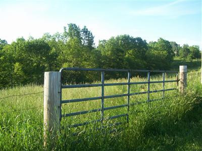 1185 Clarks Creek(parcel 2) Road Dry Ridge, KY 41035 - Photo 7 of 8