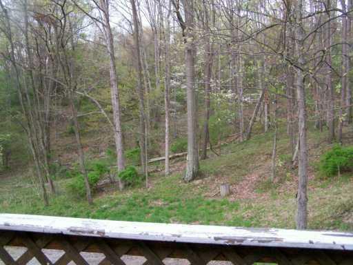 248 Montgomery Run Road Amity, PA 15311 - Photo 8 of 8 View.