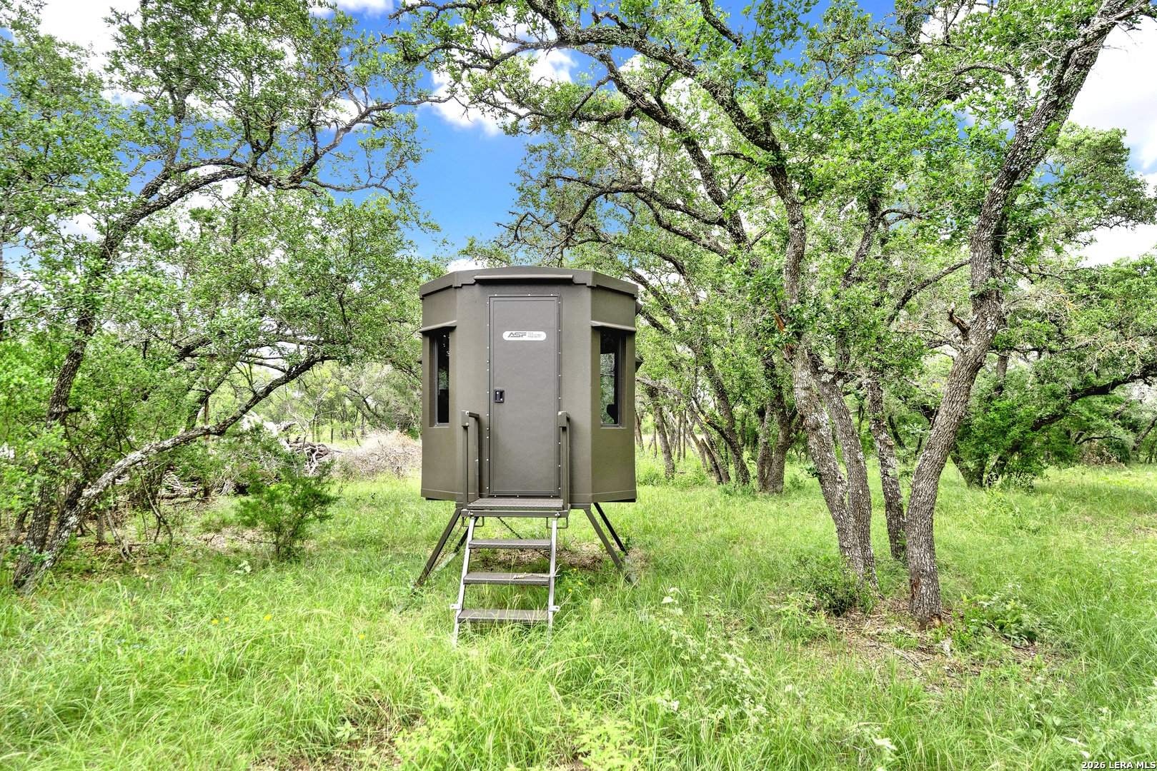 0 Fm 1796 D'Hanis, TX 78850 - Photo 6 of 26 a green field with trees in the background