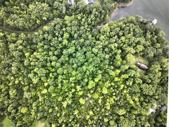 a view of a lush green field