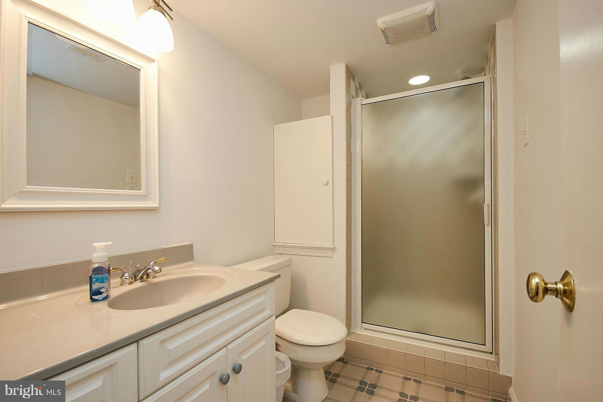 2402 Old Trace Lane Reston, VA 20191 - Photo 19 of 30 Lower Level Full Bath