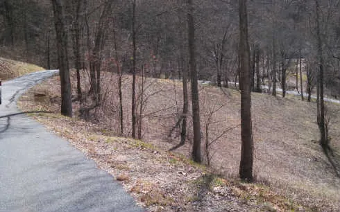 $75,000 | 37 High Meadows Drive, Hayesville, NC 28904