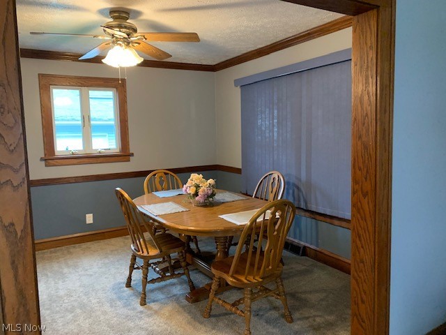 17813 Ingleside Road Cleveland, OH 44119 - Photo 10 of 23 Gallery Image 10