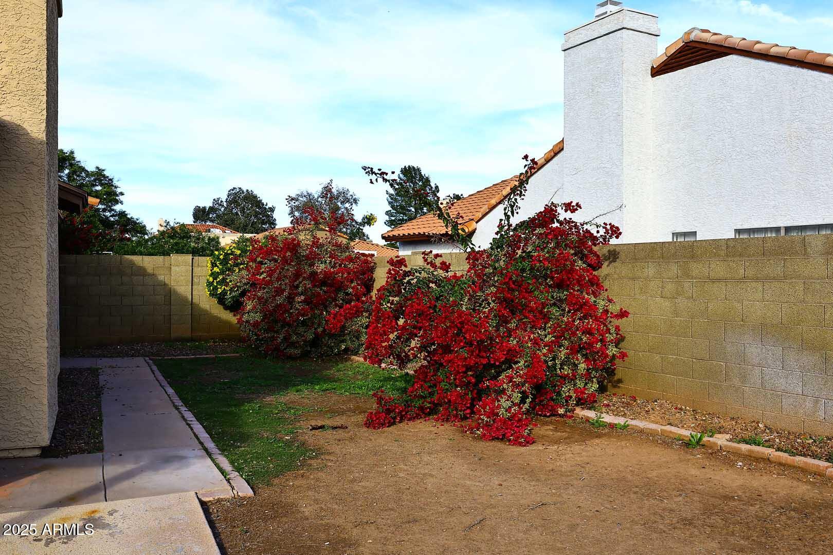 1971 East Buena Vista Drive Tempe, AZ 85284 - Photo 38 of 38 Side Yard