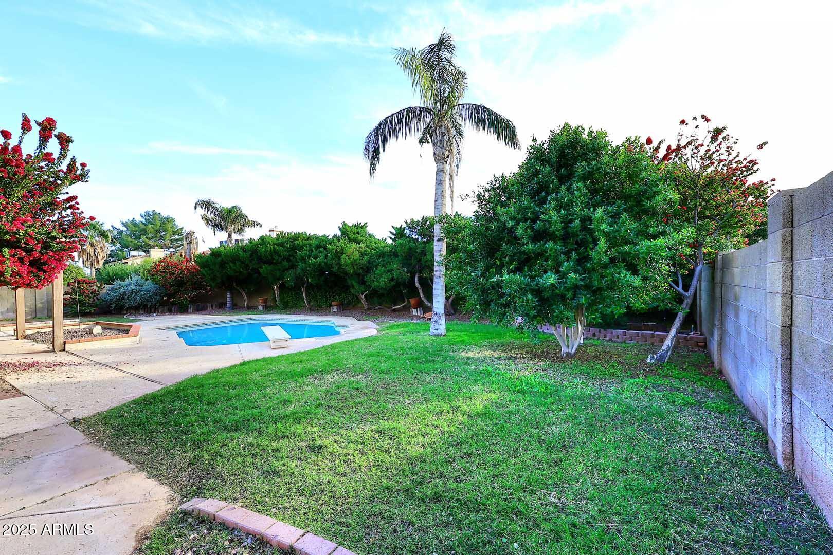 1971 East Buena Vista Drive Tempe, AZ 85284 - Photo 4 of 38 Grass Area