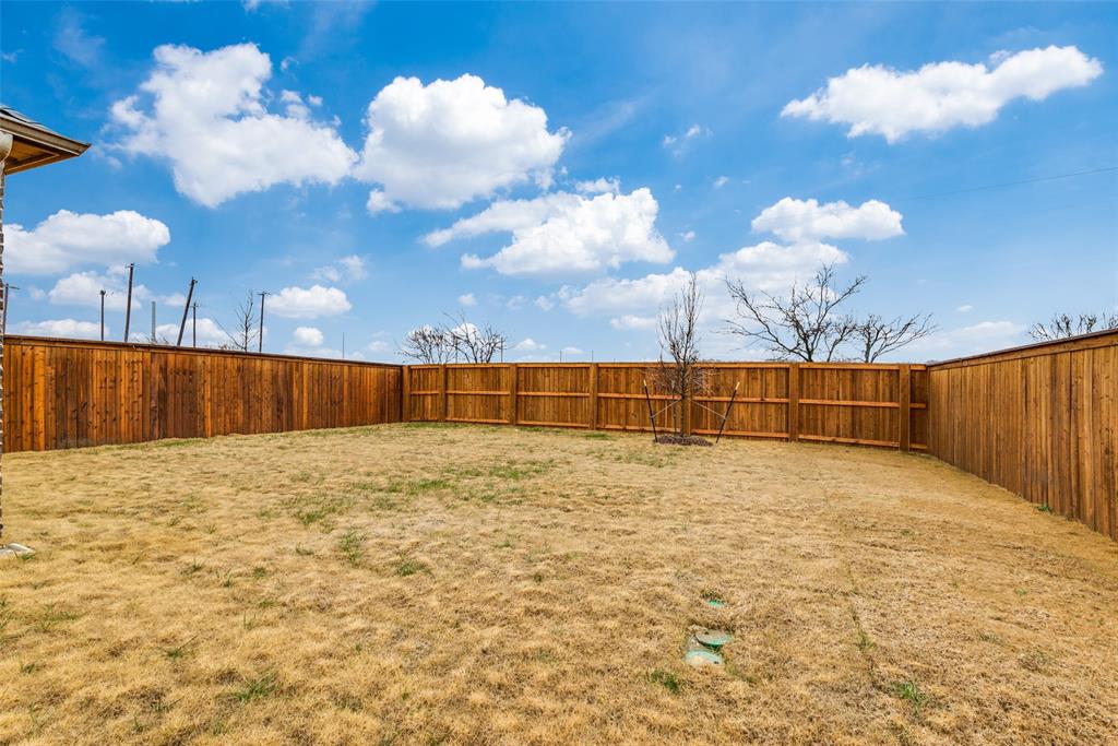 2544 Rambling Road Celina, TX 75009 - Photo 24 of 25 View of yard
