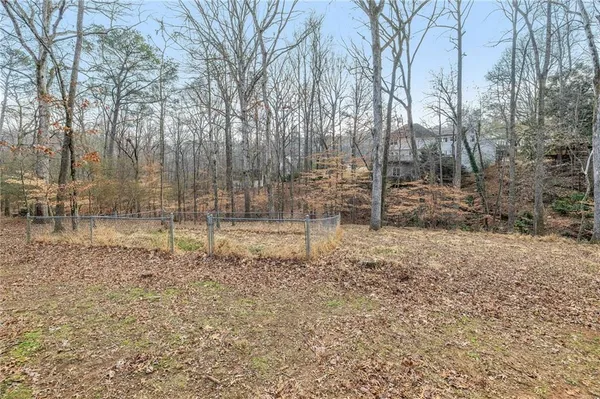 a view of a backyard