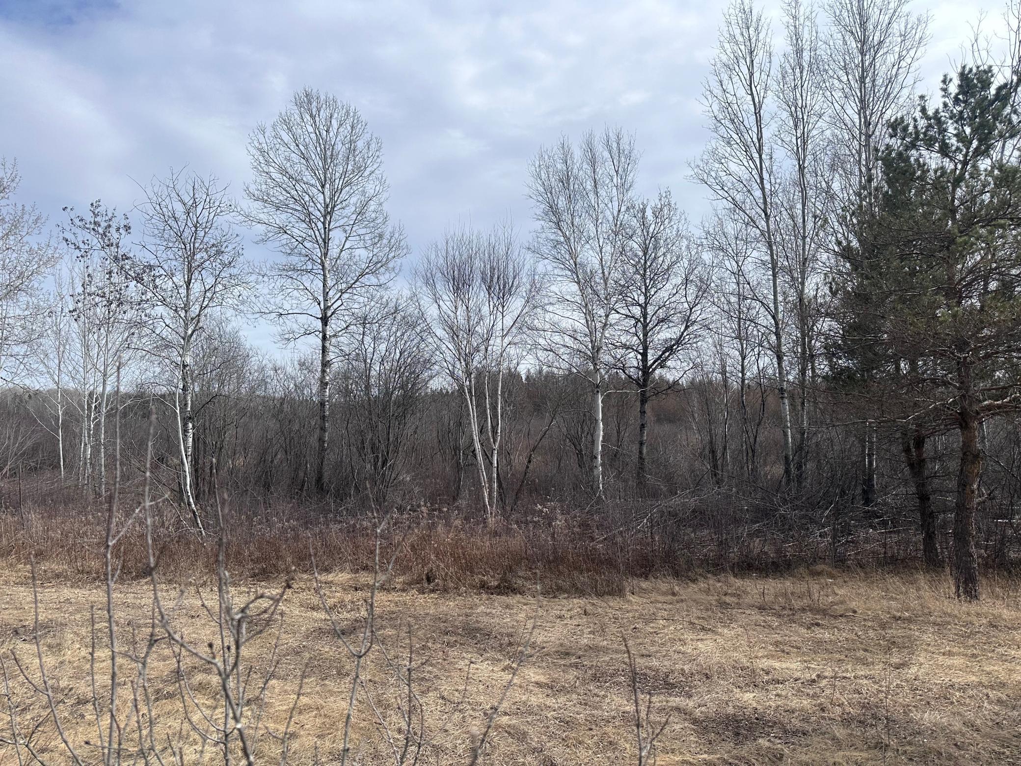 Tbd Hermantown Road Cloquet, MN 55720 - Photo 3 of 7