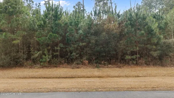 $88,000 | Lot 17 Bailey Pointe Drive, Belhaven, NC 27810