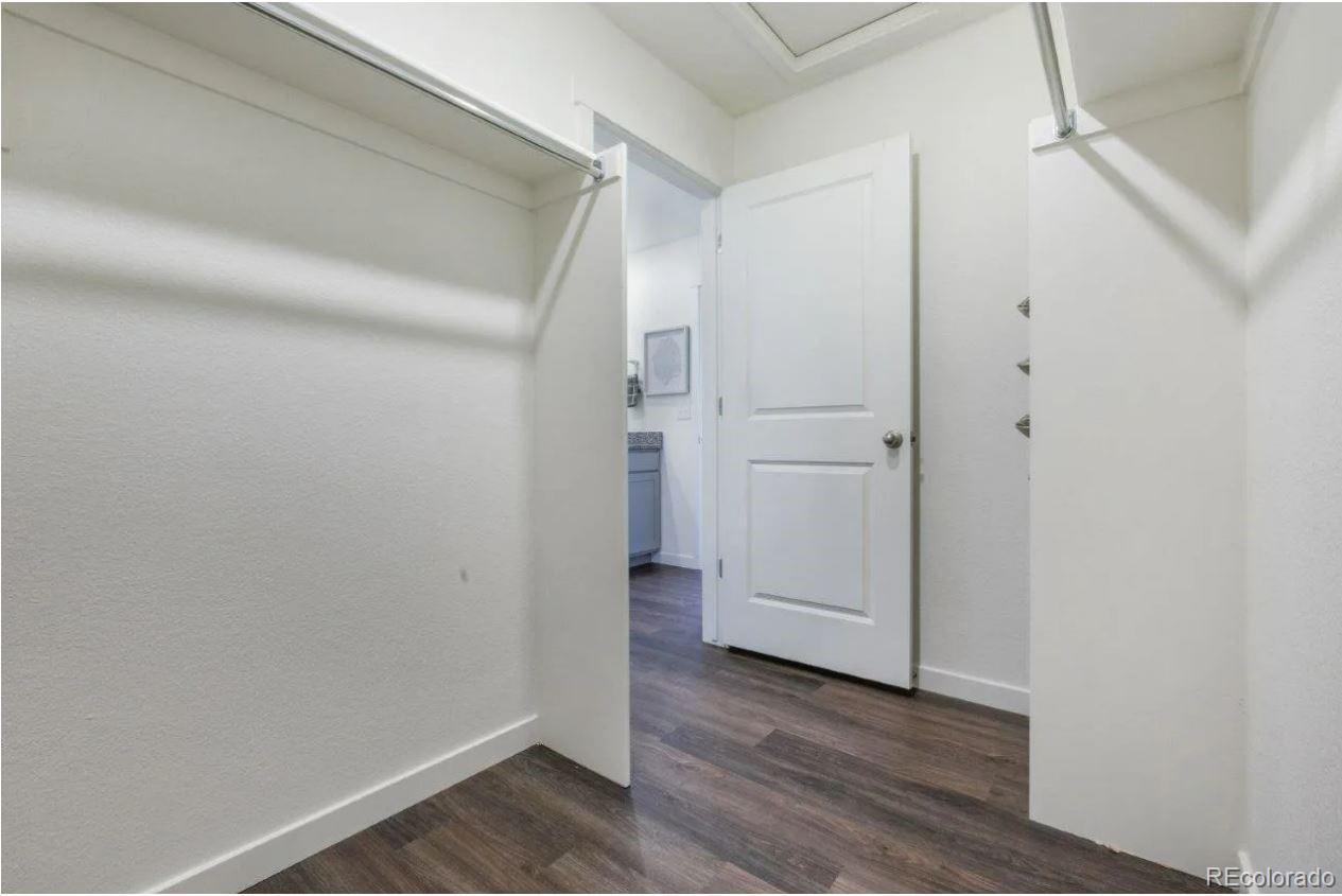 4991 Buelingo Drive Windsor, CO 80528 - Photo 12 of 21