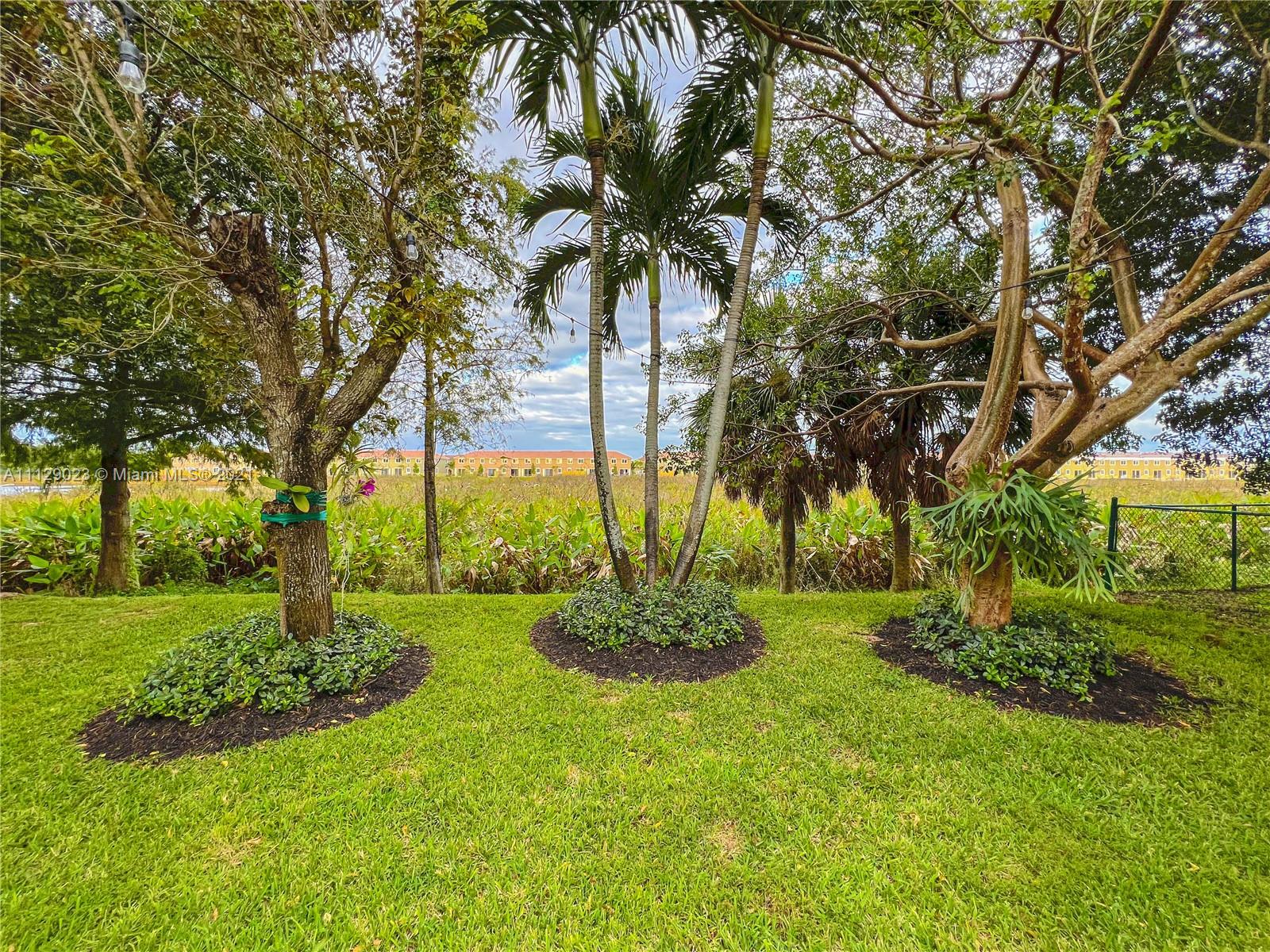 1399 Southeast 20th Road Homestead, FL 33035 - Photo 30 of 50 a view of a garden with a tree