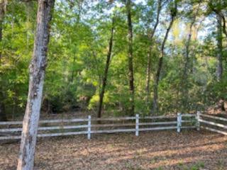 8557 Palmetto Road Edisto Island, SC 29438 - Photo 19 of 22 IMG_0491