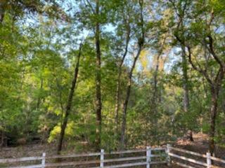 8557 Palmetto Road Edisto Island, SC 29438 - Photo 20 of 22 IMG_0493