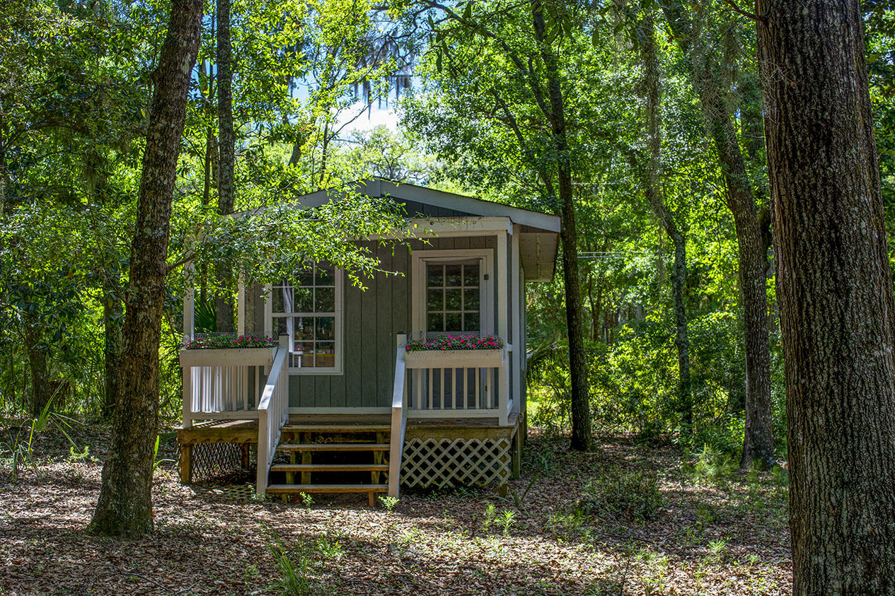 8557 Palmetto Road Edisto Island, SC 29438 - Photo 21 of 22 _DSC1573