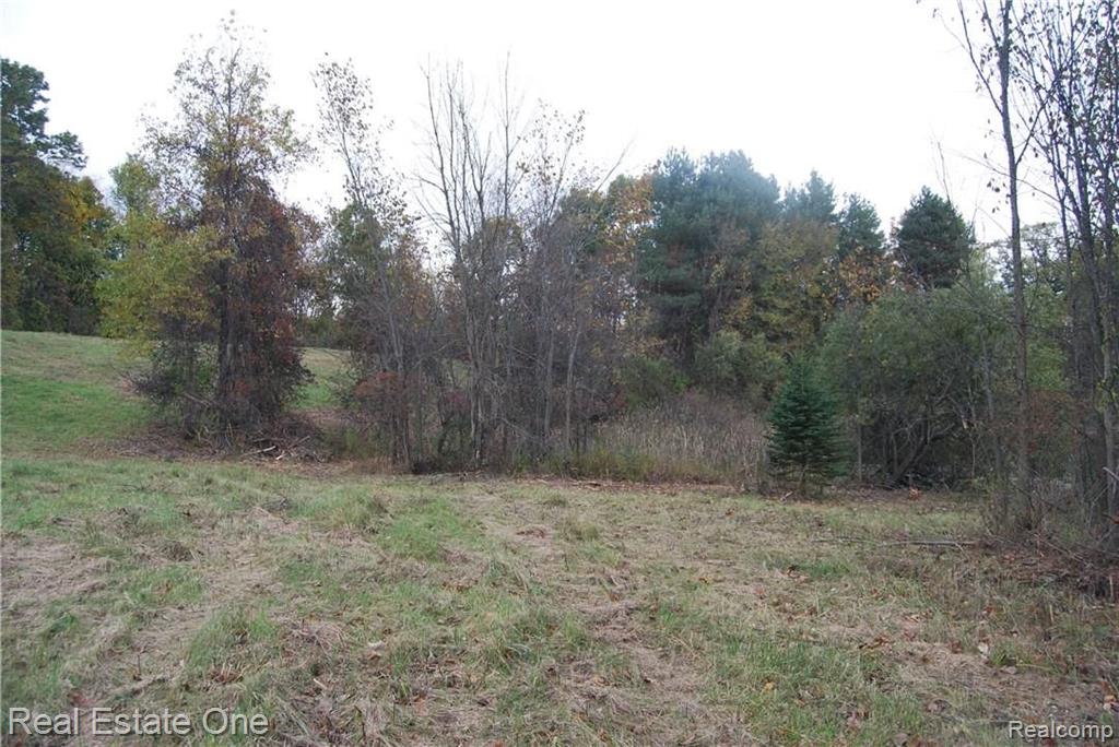 V/l Perry Lake Road Ortonville, MI 48462 - Photo 18 of 30 Gallery Image 18