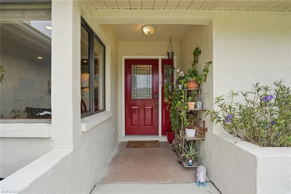 a potted plant sitting in front of a door