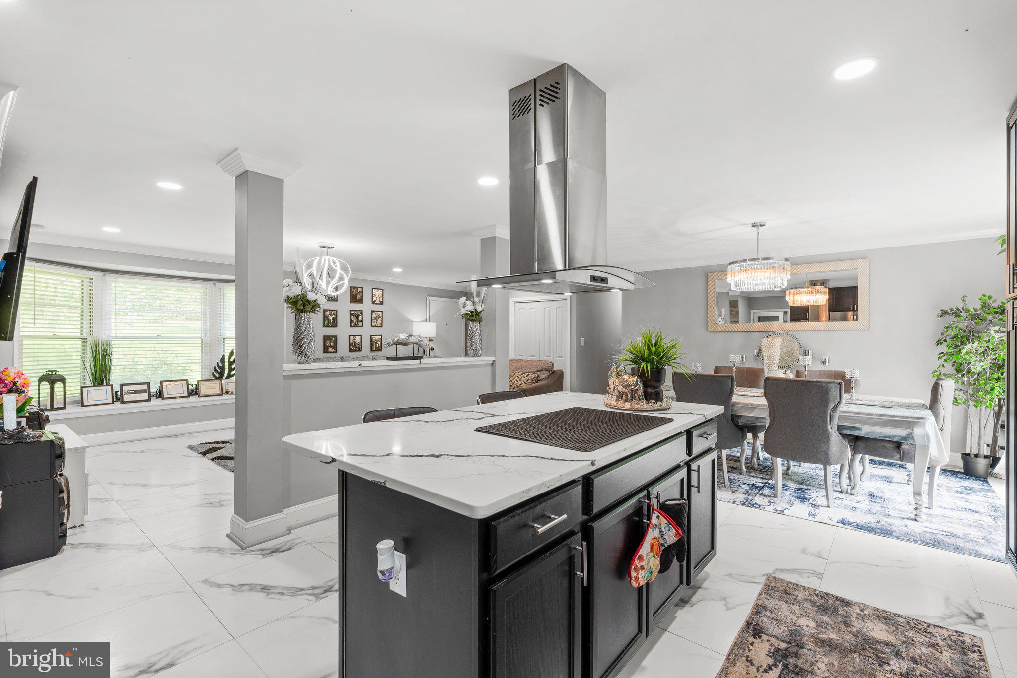 Island Cooktop with Range hood.