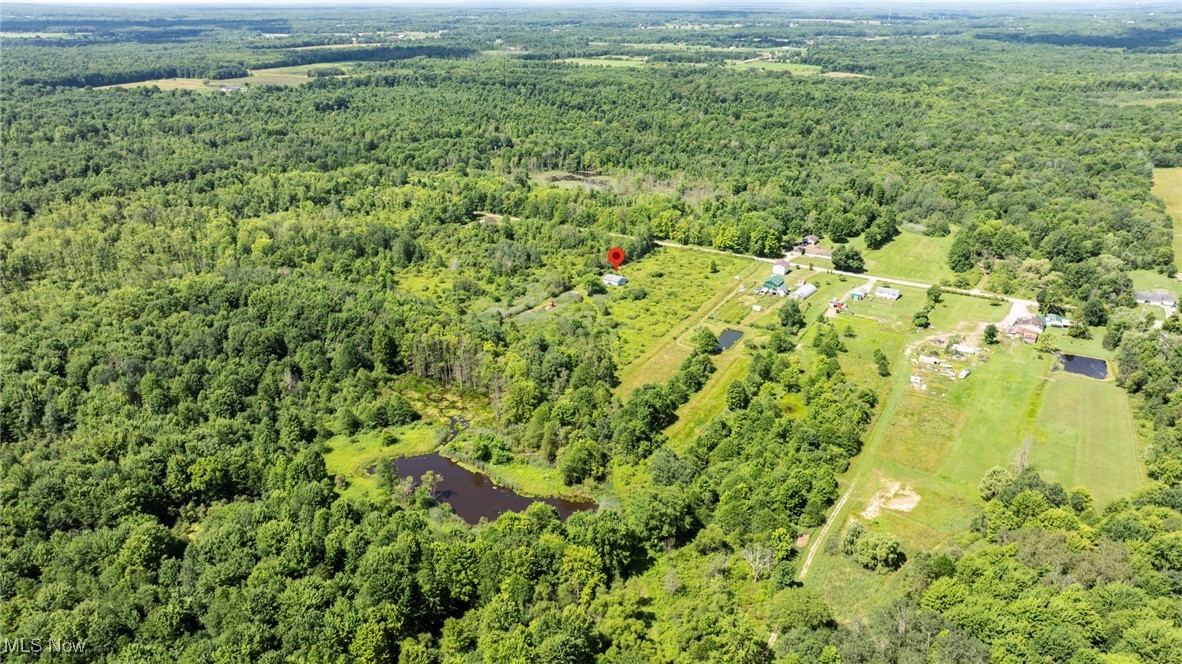 876 Clay Road Jefferson, OH 44047 - Photo 11 of 18 Drone / aerial view of a heavily wooded area