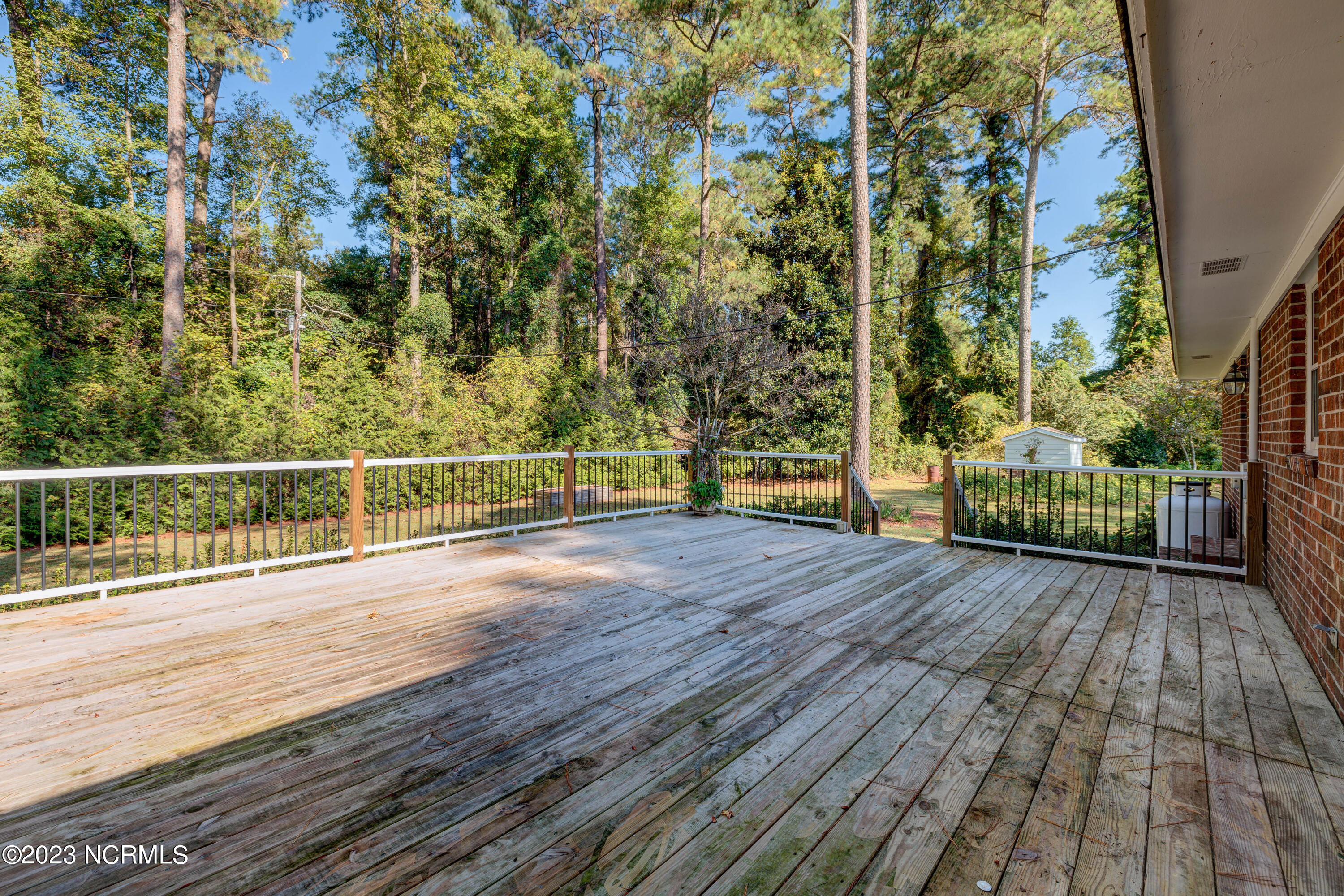 660 Bowen Road Harrells, NC 28444 - Photo 24 of 32 rear deck
