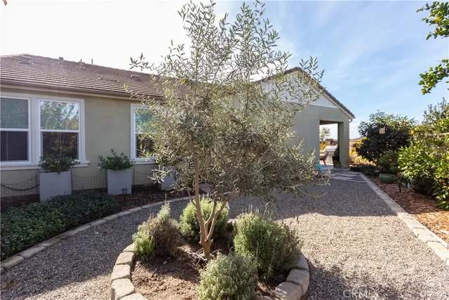 a view of a patio with table and chairs potted plants and a large tree