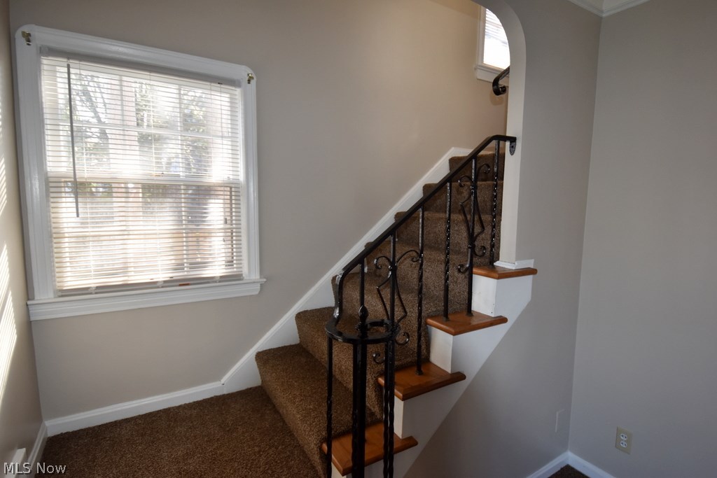 3726 Avalon Road Cleveland, OH 44120 - Photo 3 of 25 Gallery Image 3